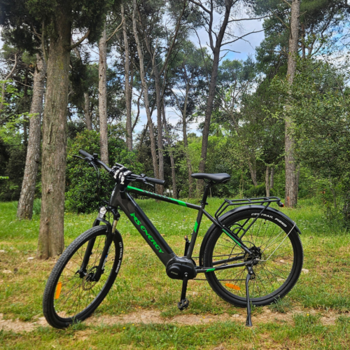 Electric Bike | Mountain, Trekking & City.