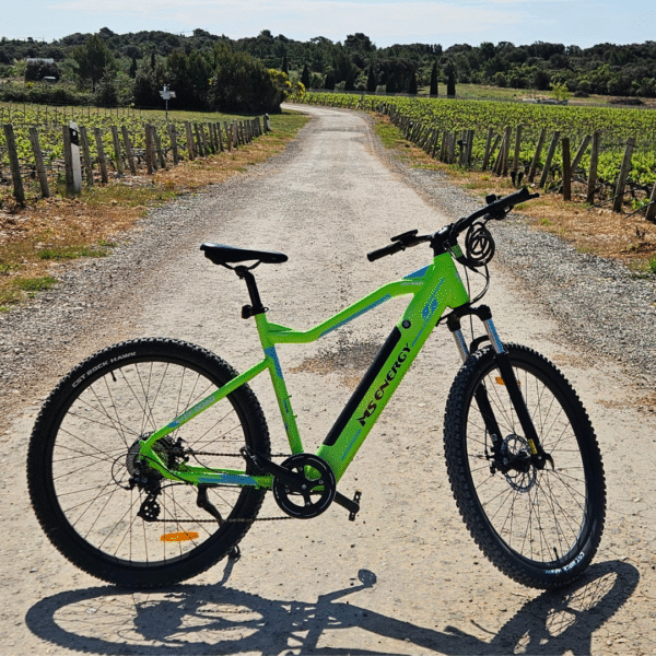 Mountain eBike - Image 5