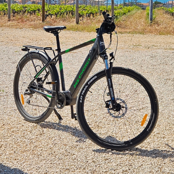 Trekking eBike - Image 6