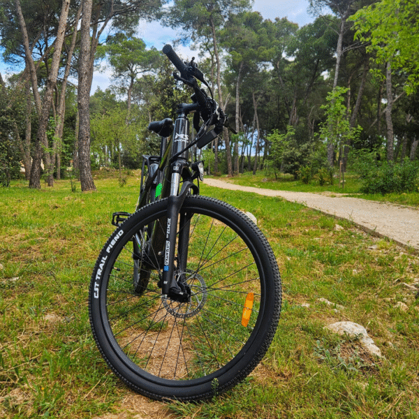 Trekking eBike - Image 2