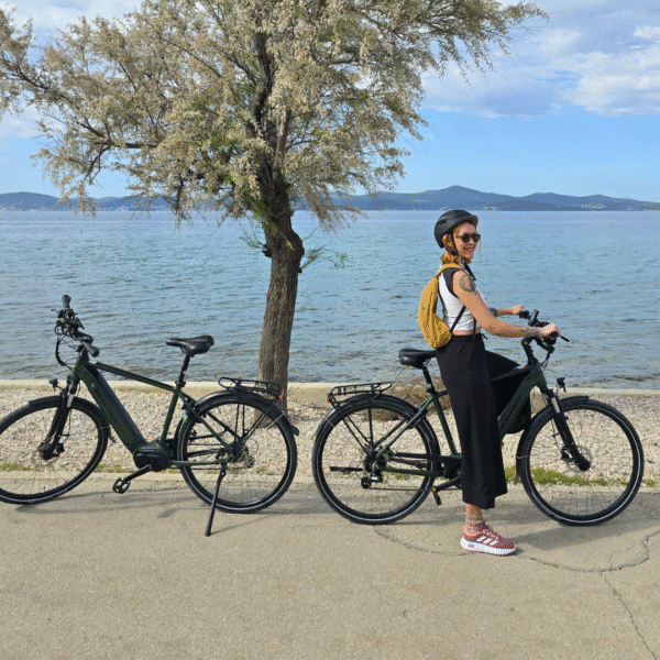 City eBike - Image 4