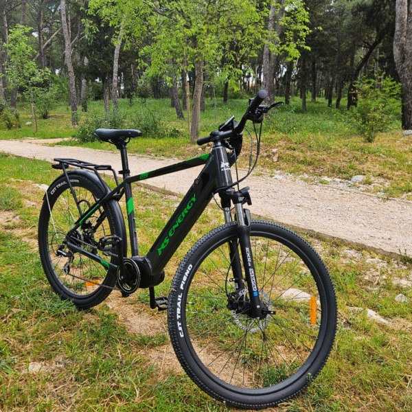 Trekking eBike - Image 3