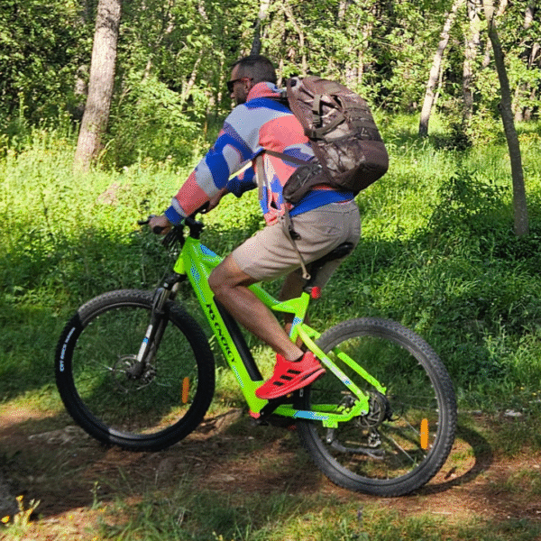 Mountain eBike