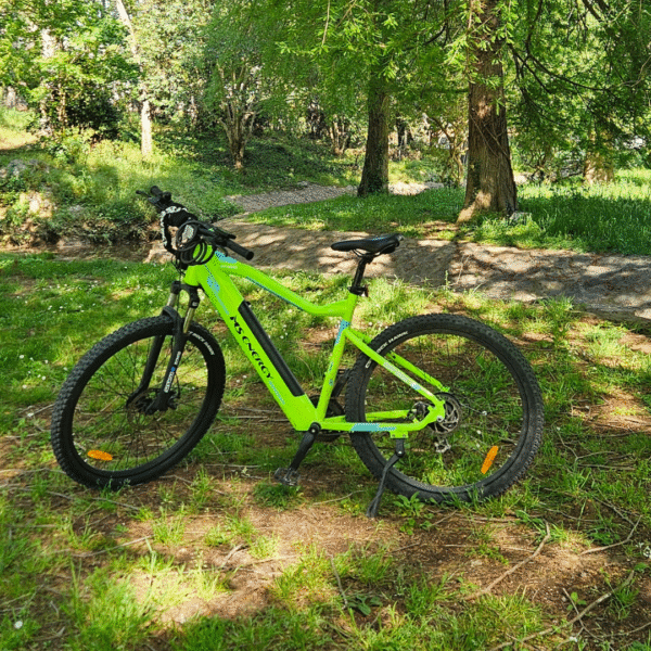 Mountain eBike - Image 3