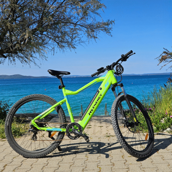 Mountain eBike - Image 2