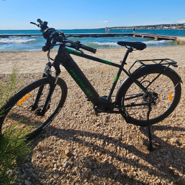 Trekking eBike - Image 7