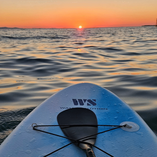 Stand Up Paddle Board - Image 4