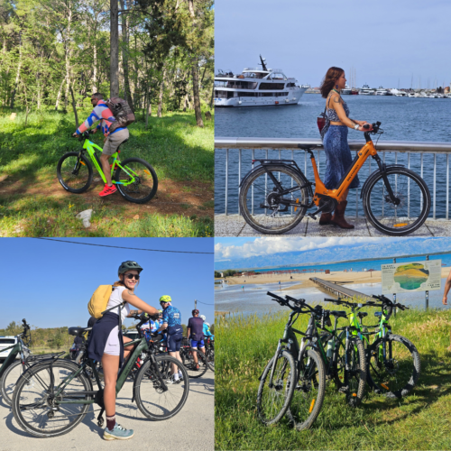 Electric Bike Rental